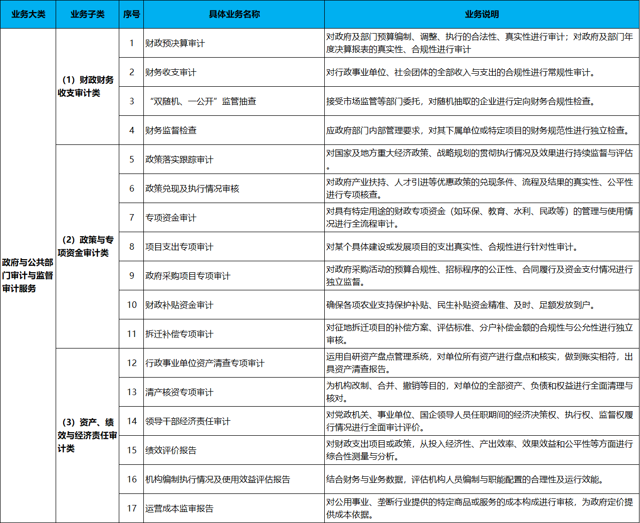 政府与公共部门审计与监督审计服务
